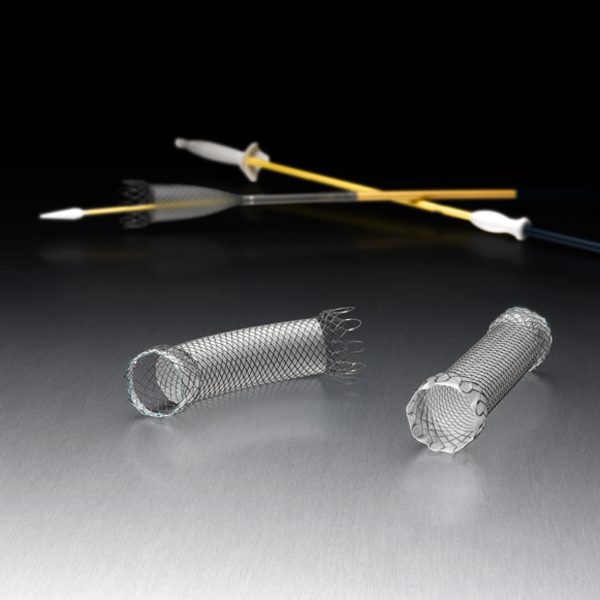 23mm x 105mm WallFlex Esophageal Stent, Fully Covered